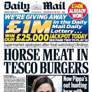 Horse meat