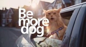 Be more dog